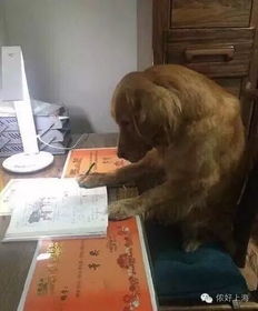 贵州的孩子们终于开学了,最开心的居然是这群人