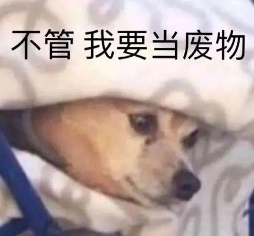 沙雕表情包祝你永远单身