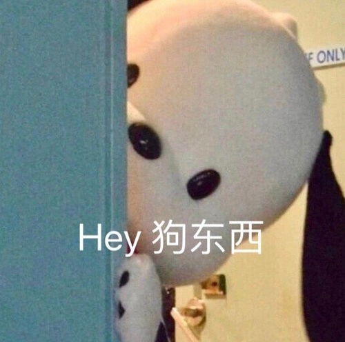 萌宠表情包小哥哥,有对象吗