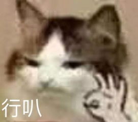 千万别轻易换微信头像一不小心就会发现自己不是亲生的