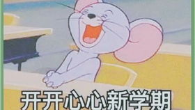 荒野间谍神奇动物表情包大赏眼神暗藏小心机,沙雕气息max