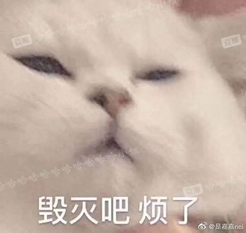 关于下流名字