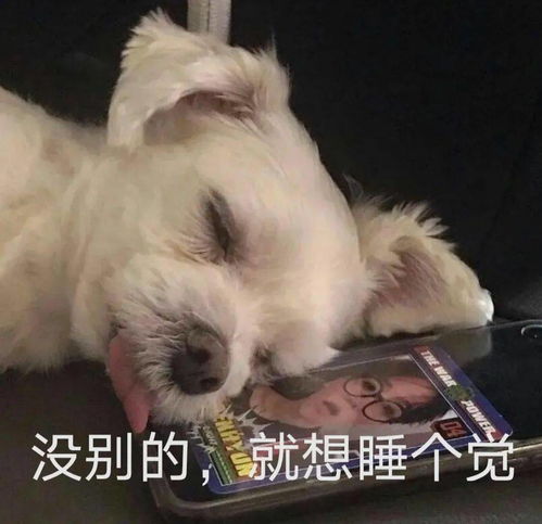 2020级西政鹅,快来晒出你们的课程表