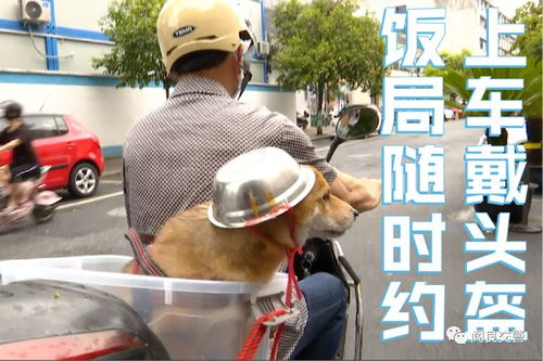 本地案例事故民警带来近期两起案例与您谈谈一盔一带