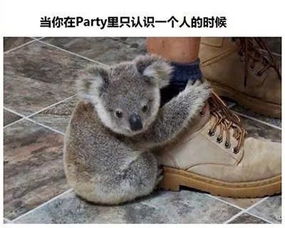 表情sir对新知识充满期待