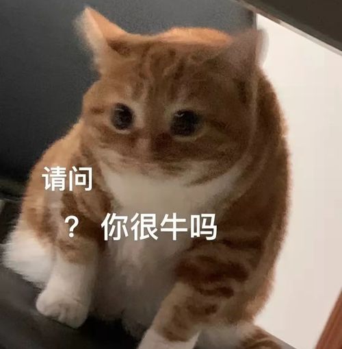 打滚能减肥恐怖片减肥这些奇葩的减肥方法真的有用吗