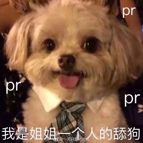 没回男朋友微信时他在想什么别人家男朋友也太tm可爱了吧