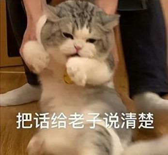 狸花冒充狸白四个月未被发现,真公主还是假千金替身猫麻麻,你在说什么人家听不懂