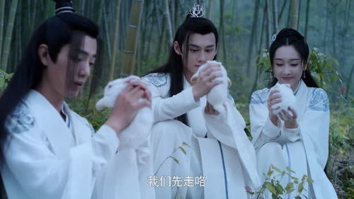 魏无羡想让师姐带一只兔子回去,不料师姐却拒绝了,不要让小兔子不开心了吧