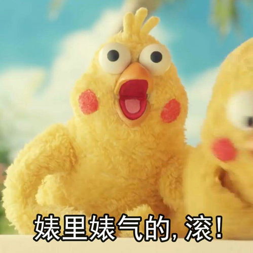 你给我滚下马来表情包鹦鹉兄弟