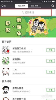 微信怎么搜索表情