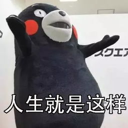 说啥大实话表情包头像