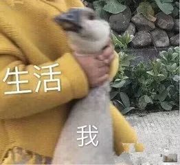 今朝上海巨婴老公出轨,离婚战中律师竟建议妻子放弃孩子争财产,你怎么看