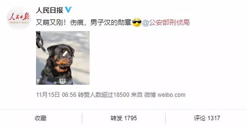 都是男人表情包创可贴