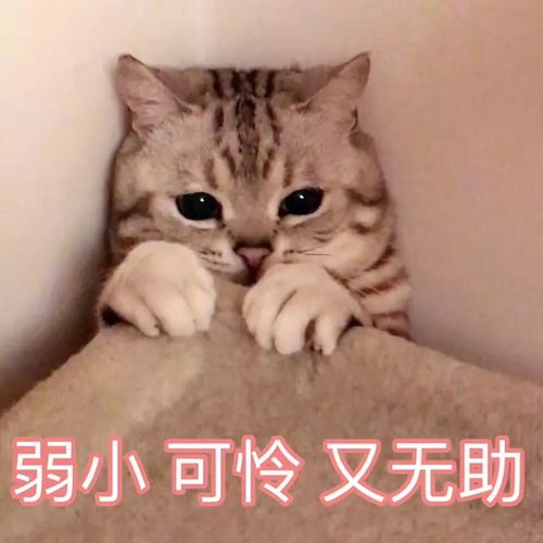 恐怖心测试试你的有多高明