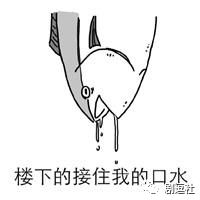 偶练101的浓缩汇聚追球简直一击必杀少女心