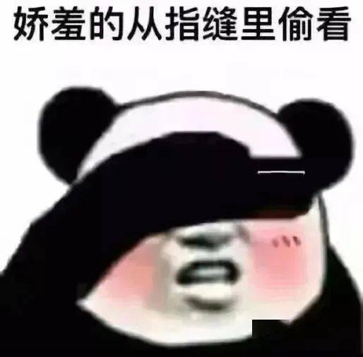 乱七八糟的表情包,我可太喜欢了