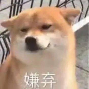 一波柴犬表情包,拿好不谢