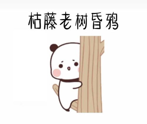 抖音表情包女神在吗我舔狗