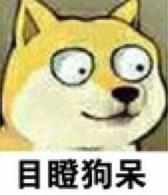 你的段子手老师已上线,请查收