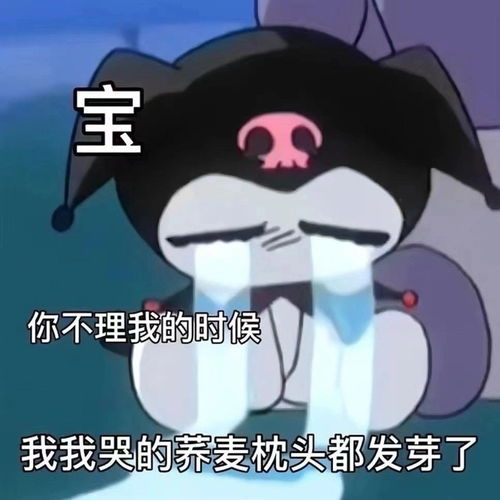 网络表情包库洛米家庭地位