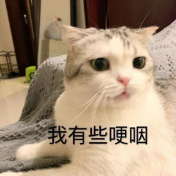 给女朋友修眉,结果手滑剃完了惹哭对象这么刺激的吗