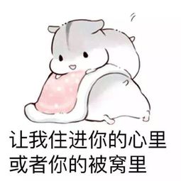 和女生聊天必备表情包拿去不谢