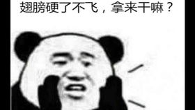 小哥酒吧内撩妹,被美女神逻辑迷惑