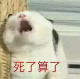 我来了表情包可爱表情