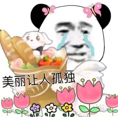 有没有哭泣猫的表情包