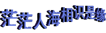 18183每日手游推荐过年一定要先发制人