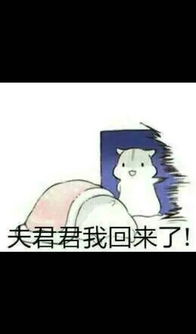 求小仓鼠hamham的表情包老公老婆,小娘子,夫君君系列的