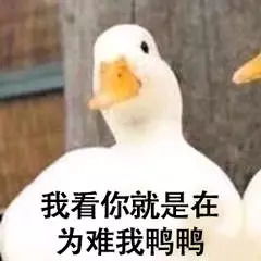 网红鸭子表情包动图小女孩