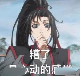 魔道祖师苦寻十三年,魏无羡含光君有喜欢的人吗