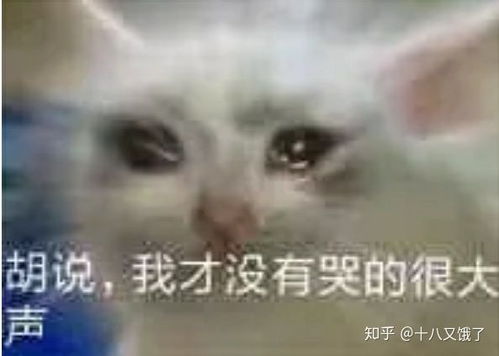 有没有什么比较卑微的表情包或者那种可以表达自己内心绝望和看破一切得表情包急