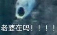气到模糊的某幻君