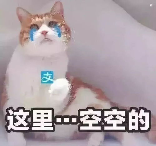 商优预热猩光大道,倒数五个数