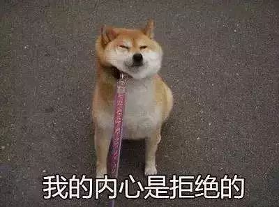 ibs丨中国风比丑大赛又来了你们歪果仁是不是对狗年有什么误解....