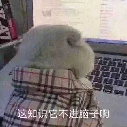 小老师表情包语法