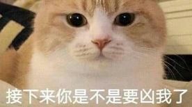 做斗图表情包的软件凶狠