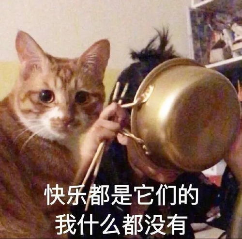 萌宠表情包今天也愉快的上班呢