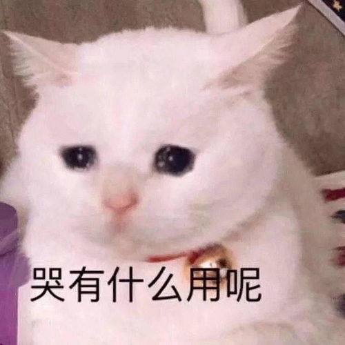 想问问天蝎不主动找你聊天是不是没希望