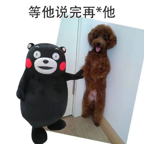 526表情包先看看他狗嘴里能吐出什么