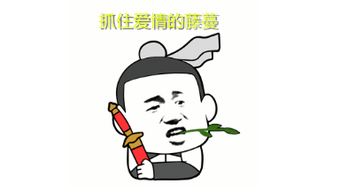 我是隔壁的泰山表情包大全下载完整版表情包动图gif下载