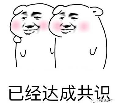海豹的水平不行啊