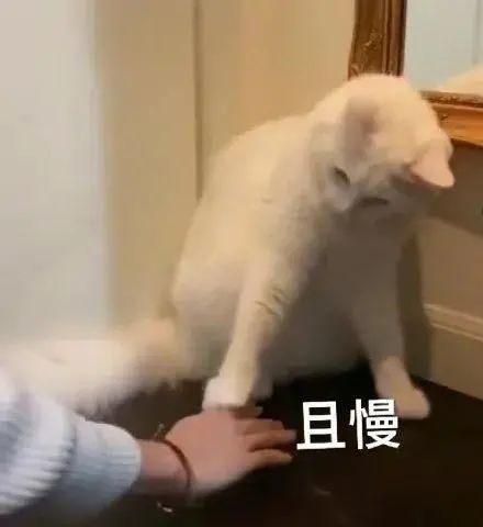 表情包人铁定出事