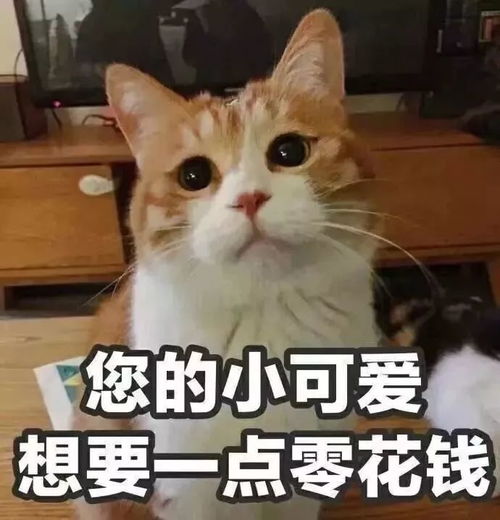 微信这功能开始收费了8月1日起正式执行还有2个坏消息
