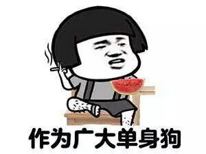 意境美图动物大海搞笑gif暴走漫画堆糖,美好生活研究所