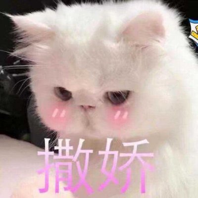卖萌图带字可爱头像