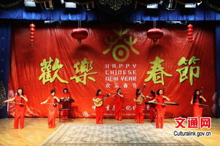 阿拉木图举办2014年欢乐春节文艺演出